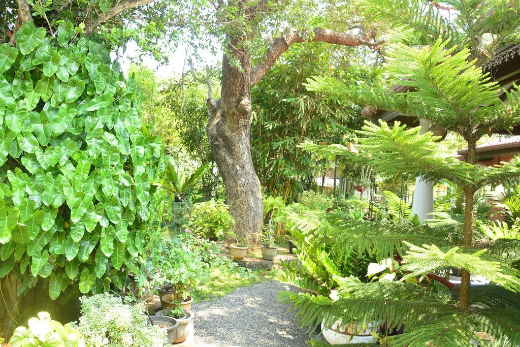 Livinginn Polonnaruwa Luaran gambar