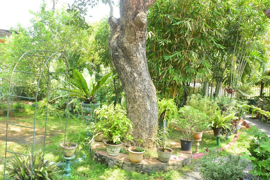 Livinginn Polonnaruwa Luaran gambar