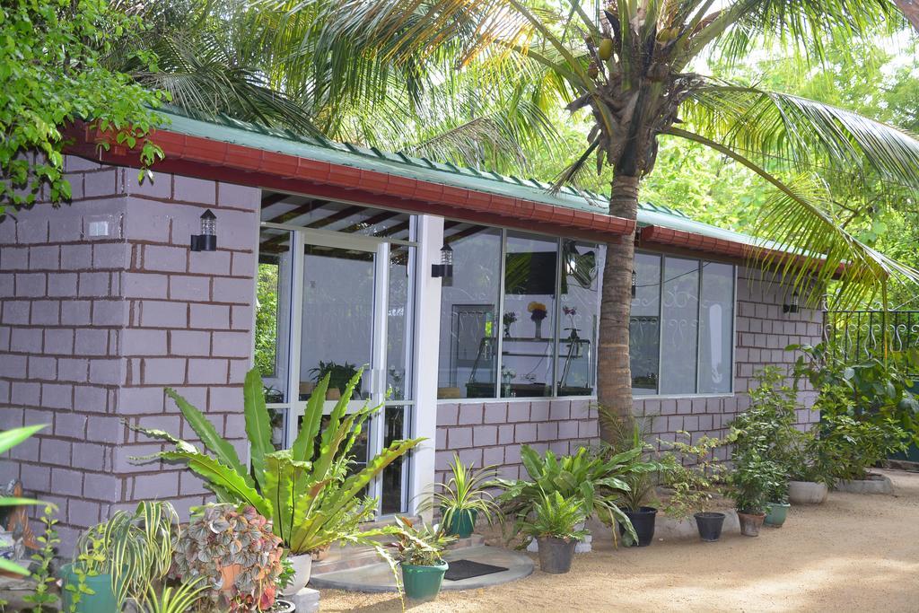 Livinginn Polonnaruwa Luaran gambar