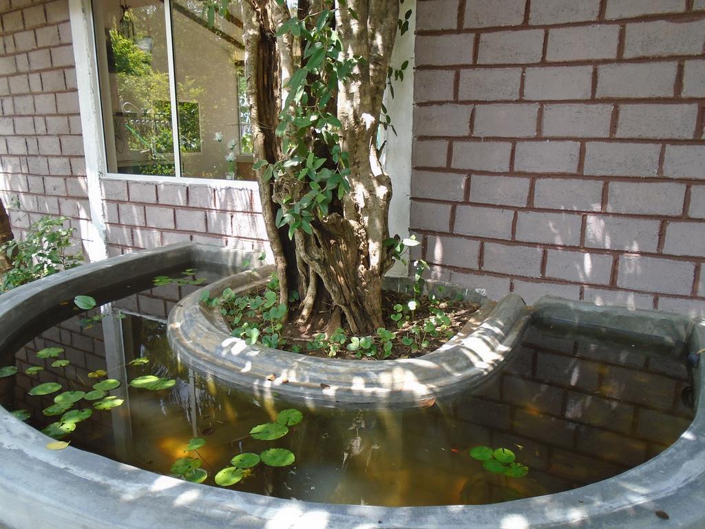 Livinginn Polonnaruwa Luaran gambar