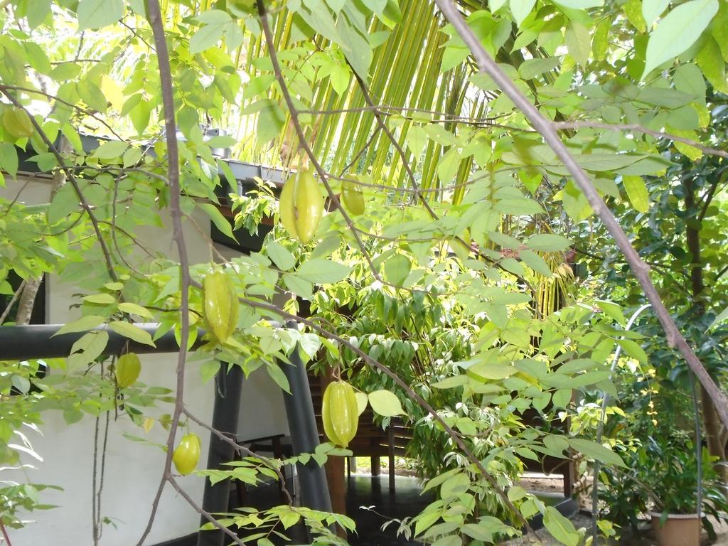 Livinginn Polonnaruwa Luaran gambar
